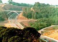 A477 Trunk Road Improvement